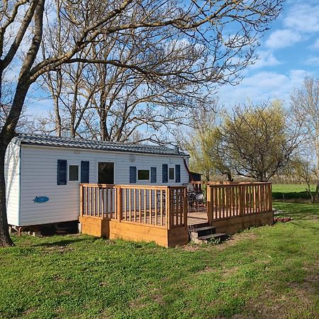Mobilhome Cosy Au Calme De La Campagne Lombez Eksteriør bilde